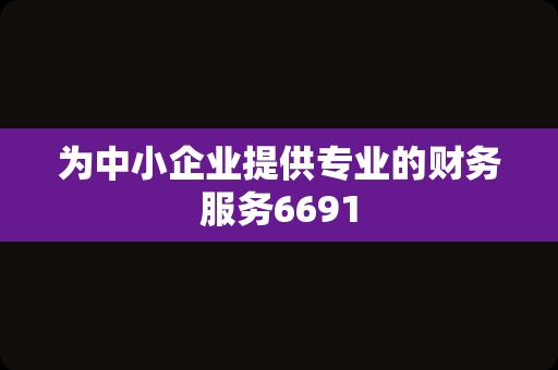 为中小企业提供专业的财务服务6691